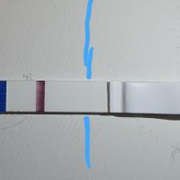 La vede o sono matta??? - 1