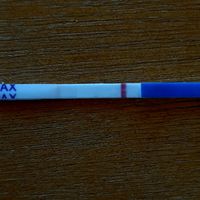 Chi non le aspetta per settembre 2020 🍀🐞🤞🌈🌻🎁🏖️🌞💝 - 1