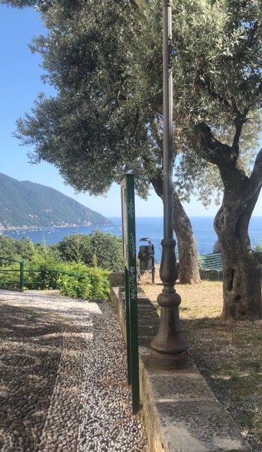 Vista Portofino dalla chiesa