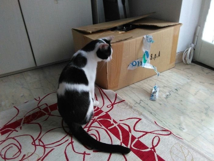 Acconciatura scelta...forse! - 1