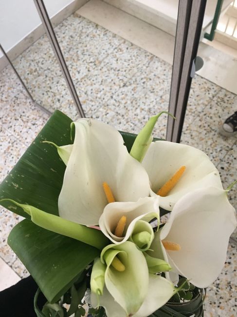 Bouquet ... di prova - 2