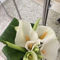 Bouquet ... di prova - 2