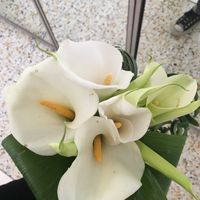 Bouquet ... di prova - 4