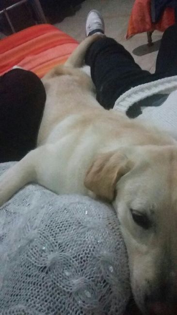 Foto con pelosetti - 1