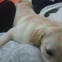 Foto con pelosetti - 1