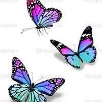 Che ne pensate? Vi sembrano adatti?