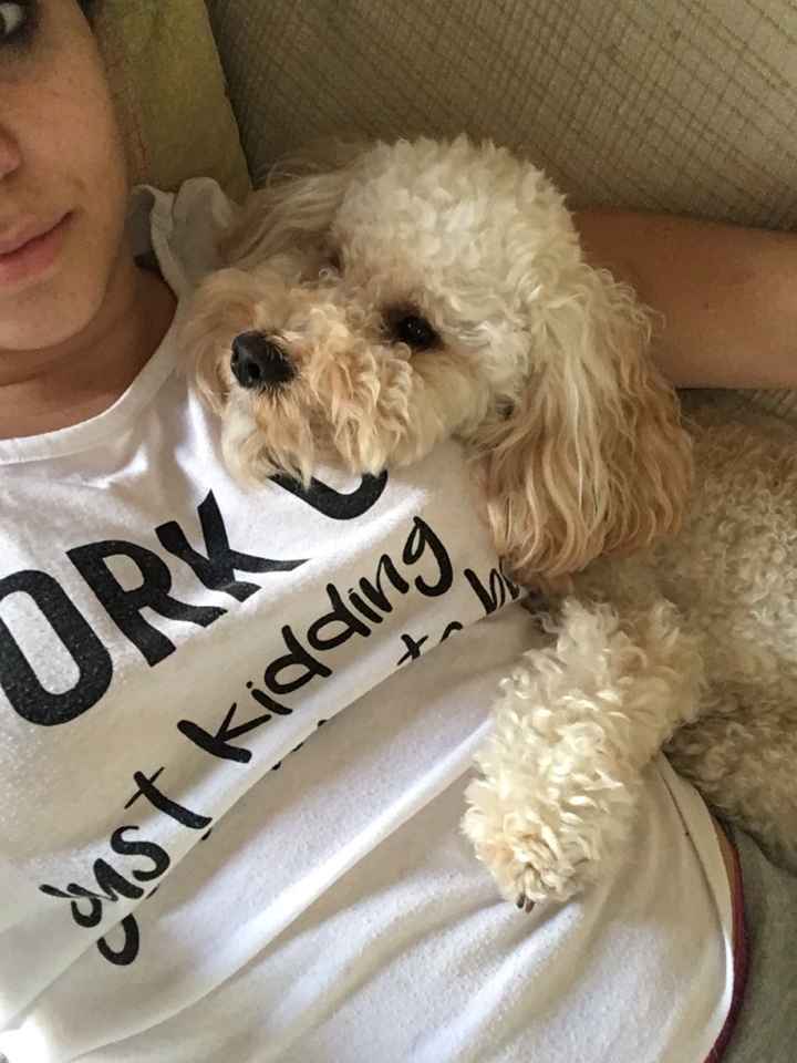 Compagno a 4 zampe? - 1