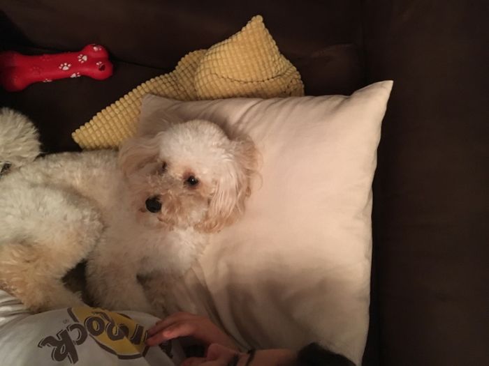 Felicemente sposati! - 1