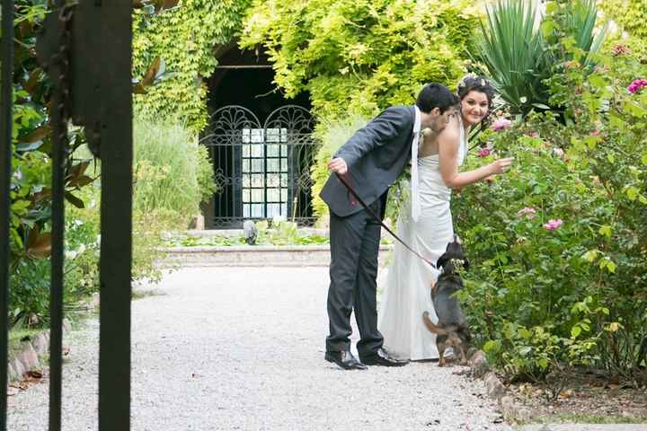 nel parco di S.Pelagio