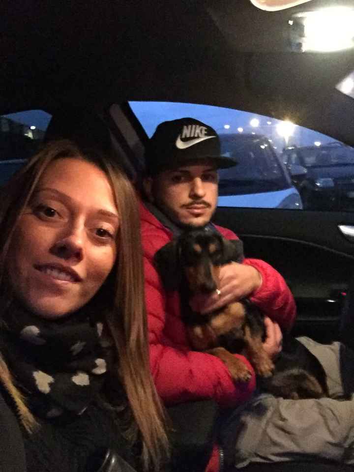 Animali in casa! - 2