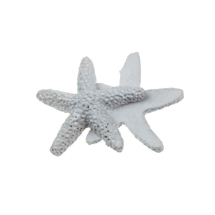 Questi sono i materiali che userò!