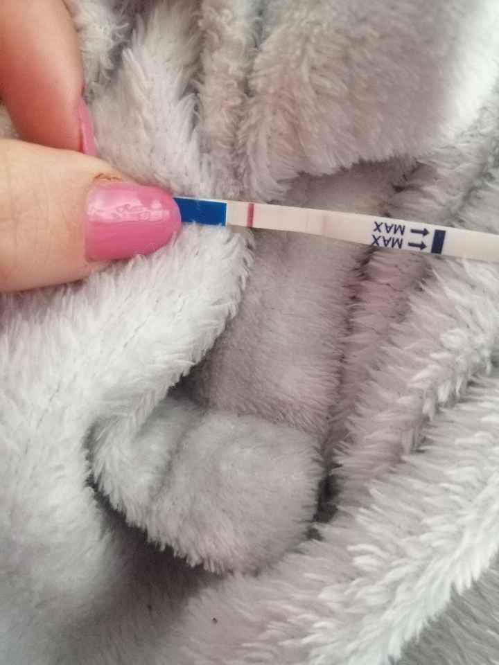 Chi non le aspetta per Marzo 2020 - 2