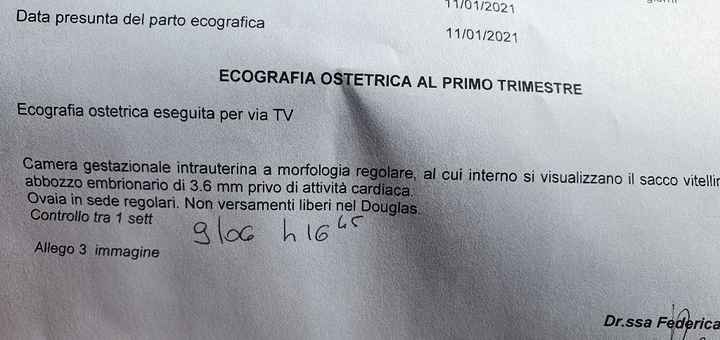Embrione si ma attività cardiaca no - 2