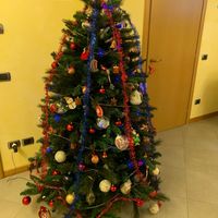 Avete mai fatto l'albero insieme? - 1