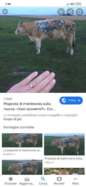 Una proposta di matrimonio esclusiva! - 1