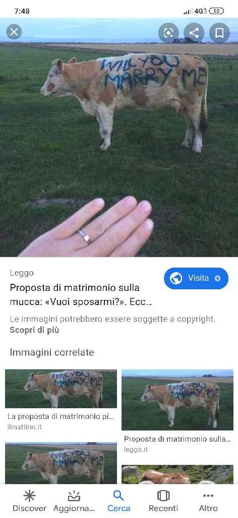 Una proposta di matrimonio esclusiva! - 1