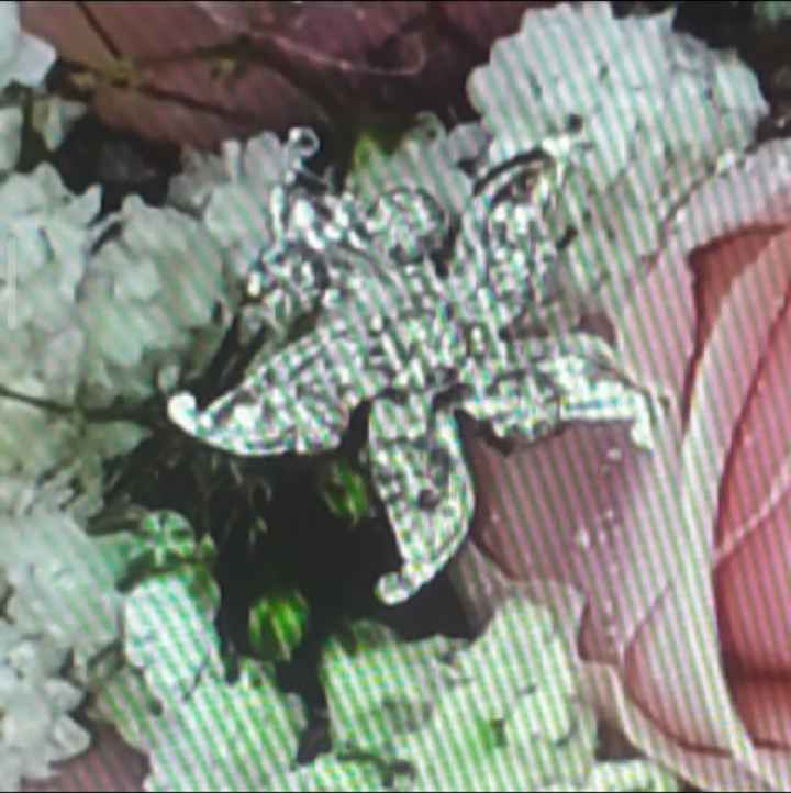 Bouquet: work in progress - 1