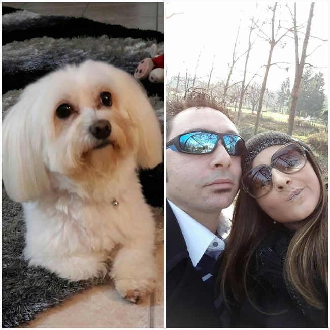 I nostri amici a 4 zampe - 1