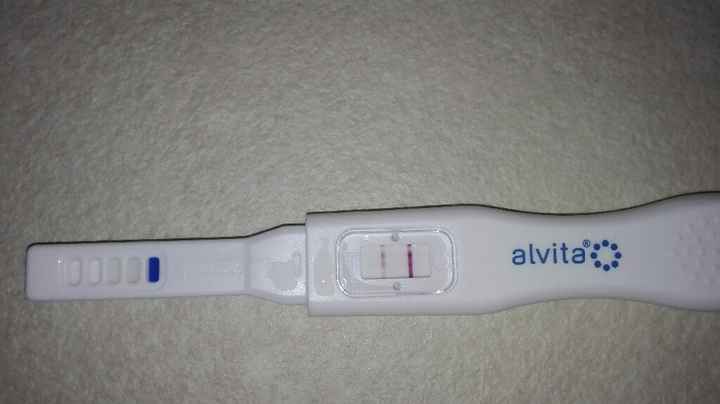 Ragazze consiglio - 1