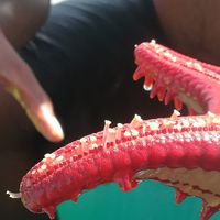 Zanzibar - 3