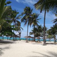Zanzibar - 5
