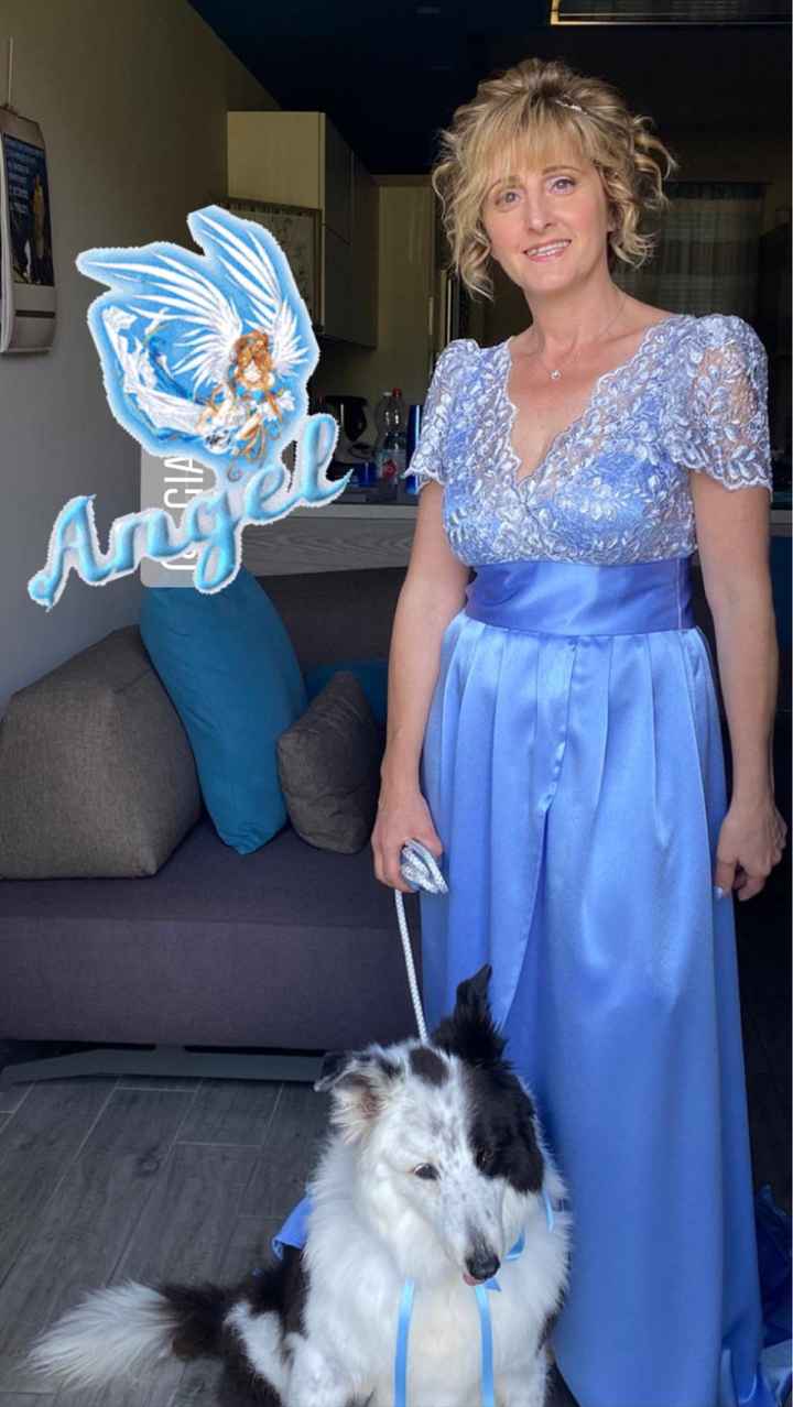 cane della suocera al mio Matrimonio. - 2