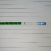 Test Canadese 12 Po... aiutoooo - 1