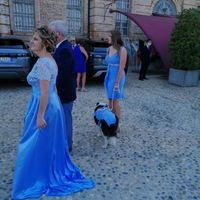 cane della suocera al mio Matrimonio. - 1