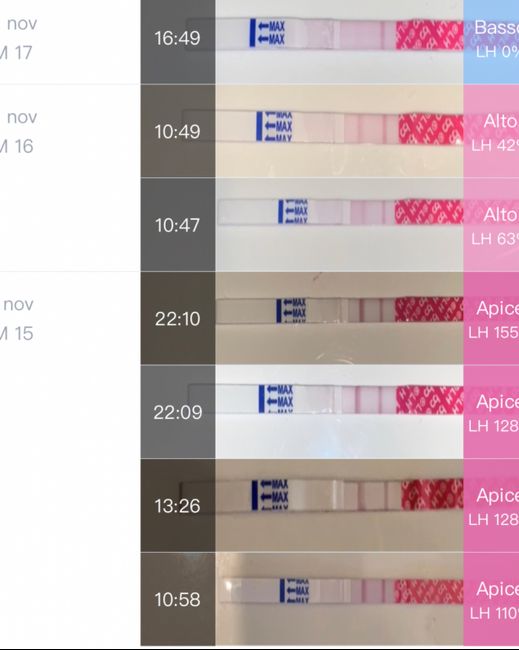 Chi non le aspetta per Dicembre 2020 🍀❣️🎄🎁🎀🌠 - 1