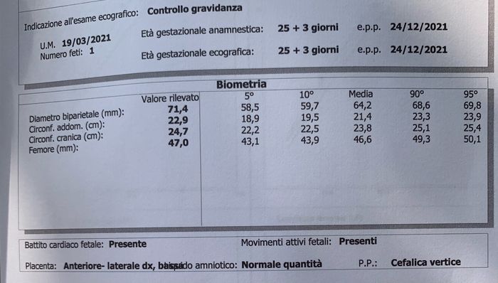 Future mamme Dicembre 2021 🎄🎁💙🎀 - 1