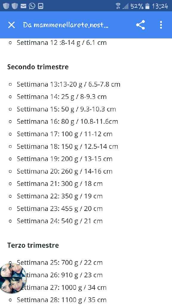 Peso fagiolino 18 settimane o morfologica - 1