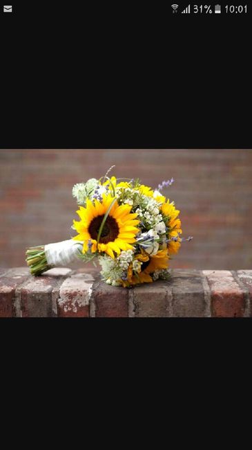 Colore matrimonio - 1