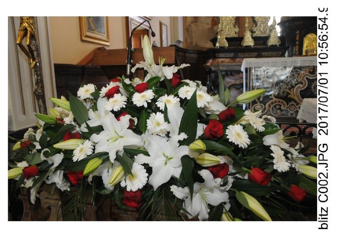 Fiori Rossi e Bianchi 4