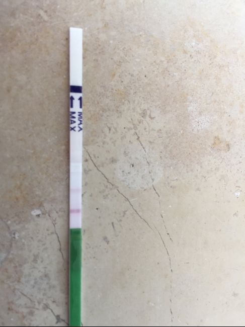 Chi non le aspetta per settembre 🍀🤞 - 1