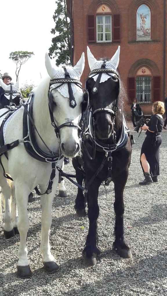 Questo era il mio vestito! - 10