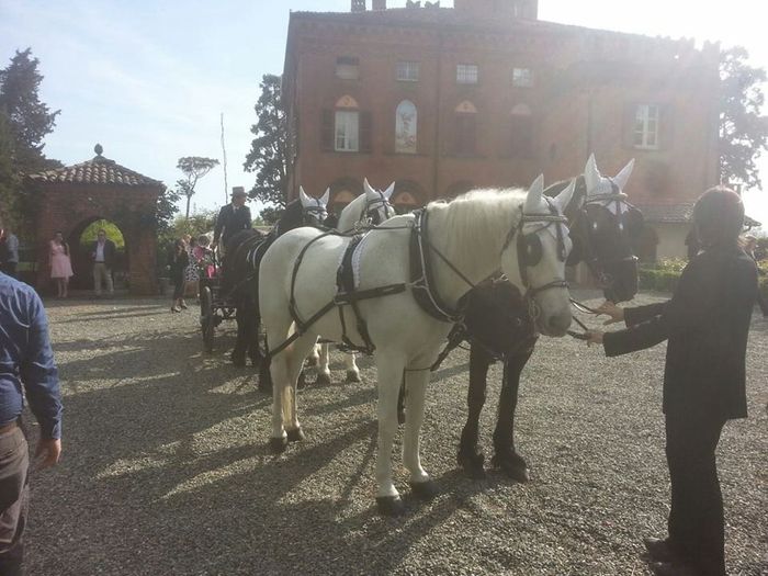 Questo era il mio vestito! - 9