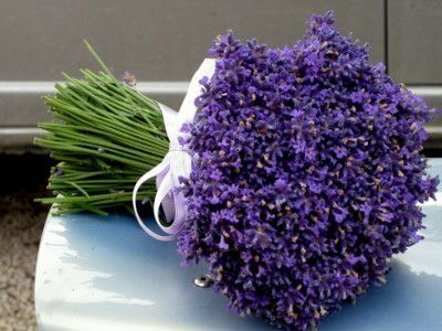 matrimonio lavanda