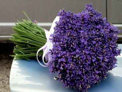 matrimonio lavanda