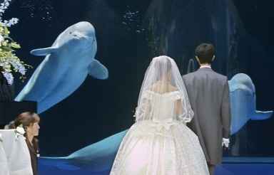 matrimoni stravaganti