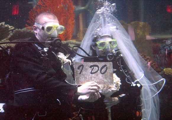 matrimoni stravaganti