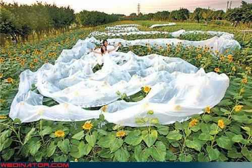 l'abito più lungo del mondo