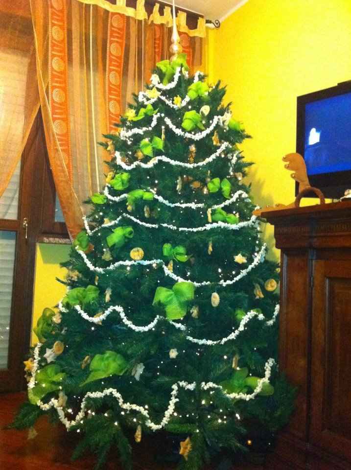 il mio albero di natale