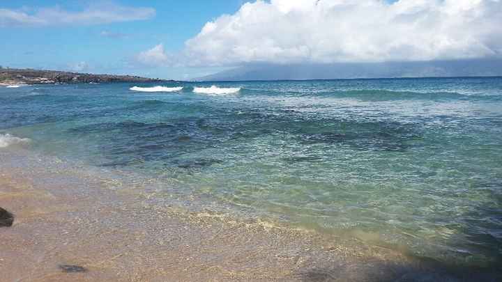 Giro o the road dei parchi in america e hawaii - 2