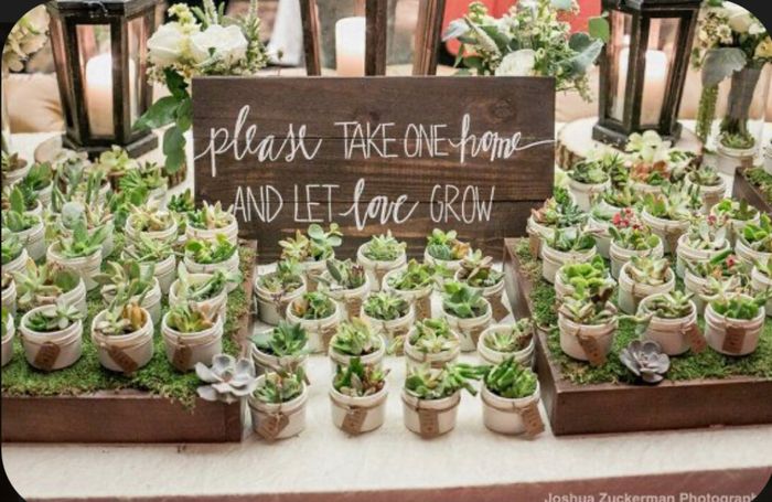 Bomboniera cercasi consigli - 1