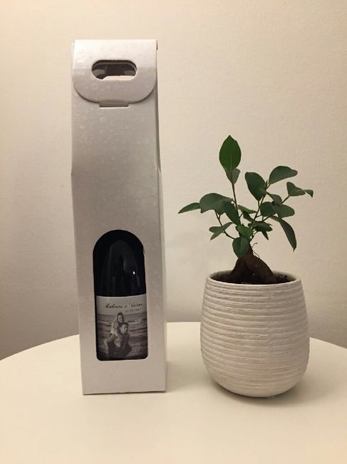 Quale vi piace di piu? - 2