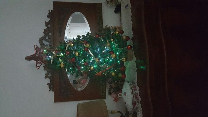 Il nostro alberino di natale - 1