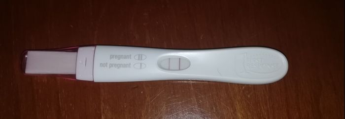 Chi non le aspetta per Dicembre 2021 🤶 🎅 🎄 1