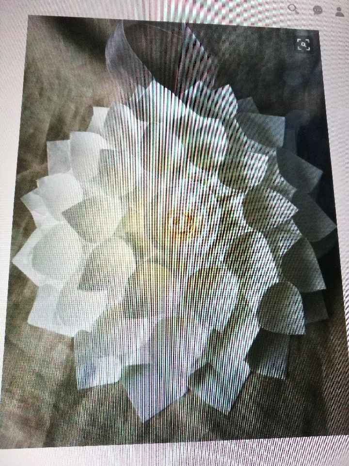 Dove mettere i coni riso? - 1