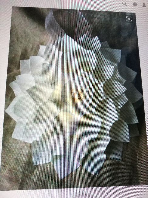 Dove mettere i coni riso? - 1