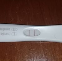 Chi non le aspetta per Dicembre 2021 🤶 🎅 🎄 - 1